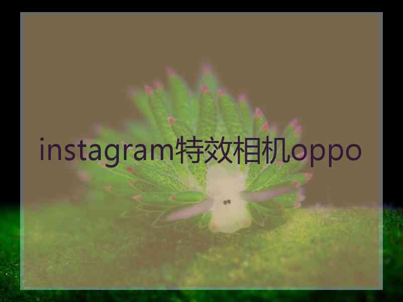 instagram特效相机oppo