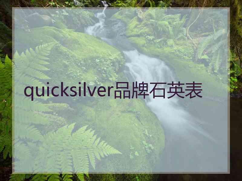 quicksilver品牌石英表