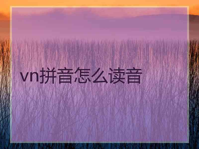 vn拼音怎么读音