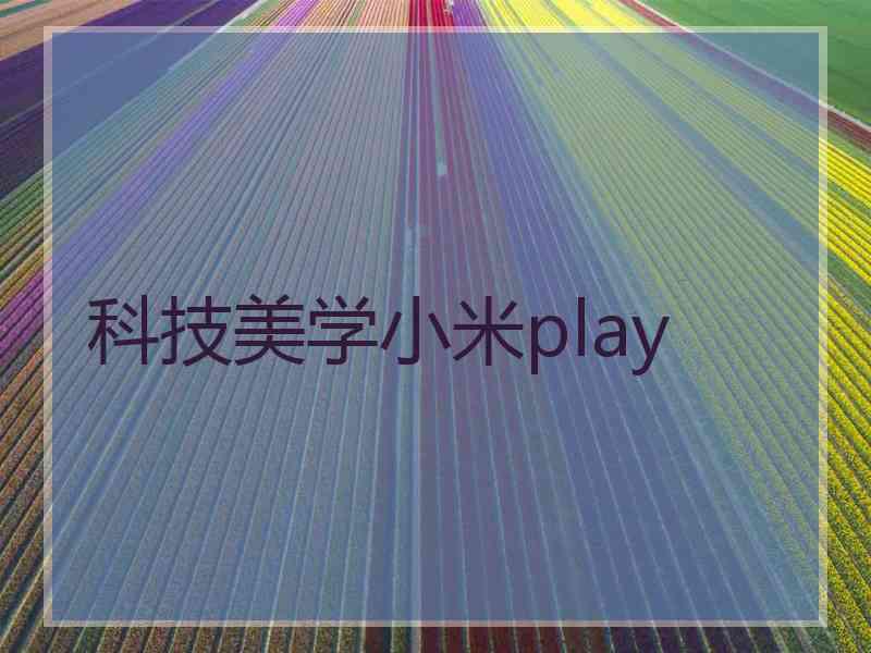 科技美学小米play