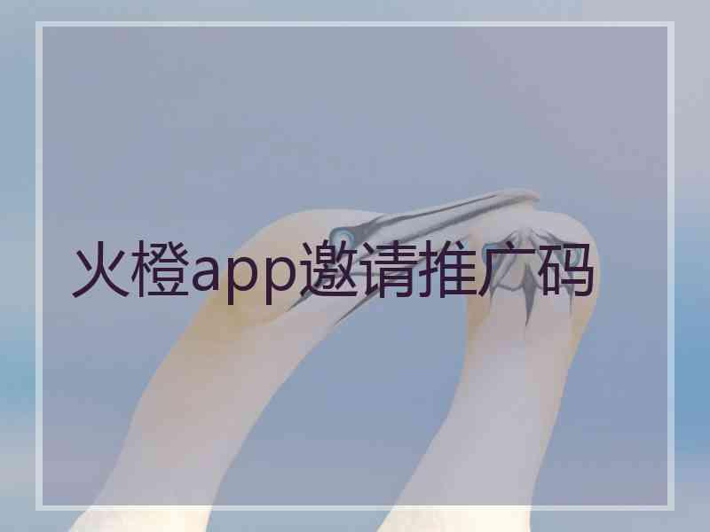 火橙app邀请推广码