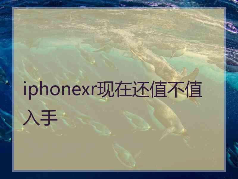 iphonexr现在还值不值入手