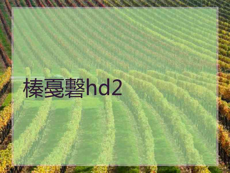 榛戞礊hd2