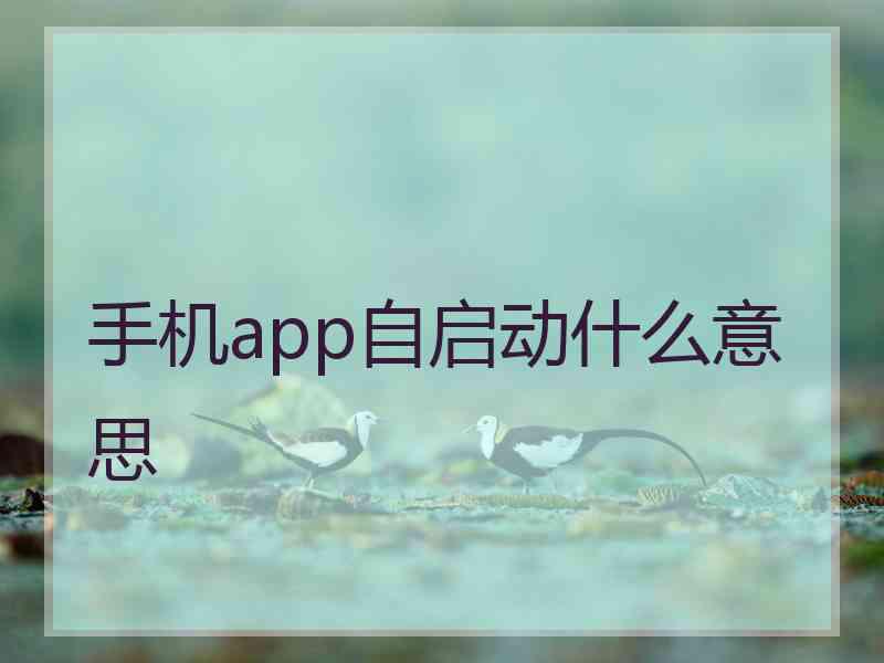 手机app自启动什么意思