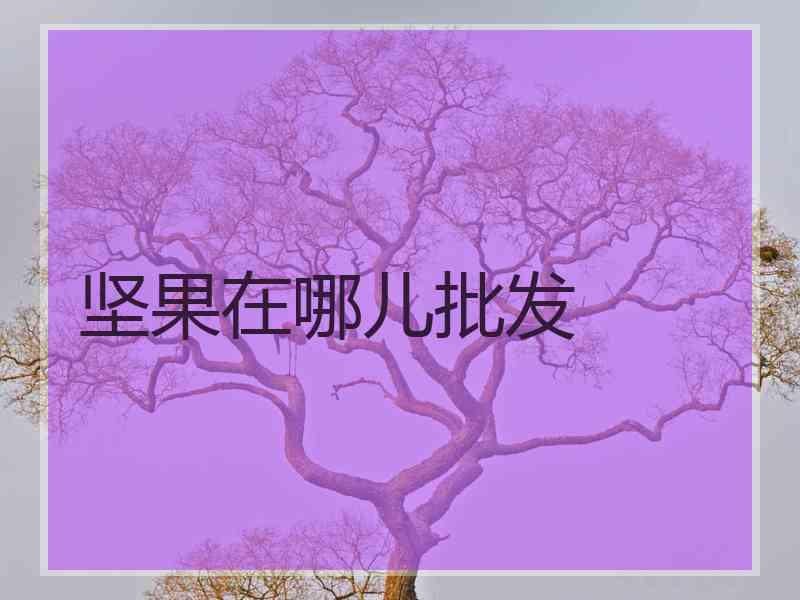 坚果在哪儿批发