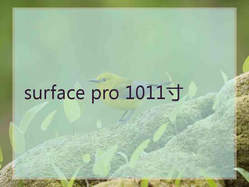 surface pro 1011寸