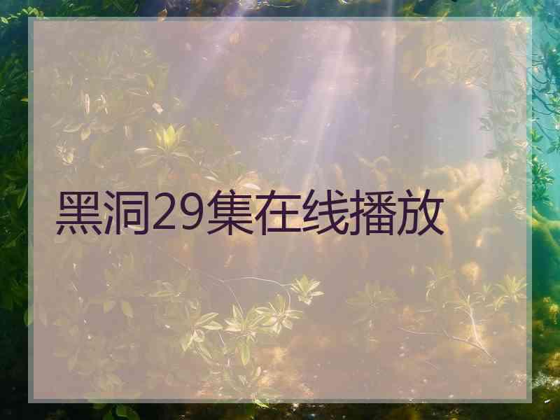 黑洞29集在线播放