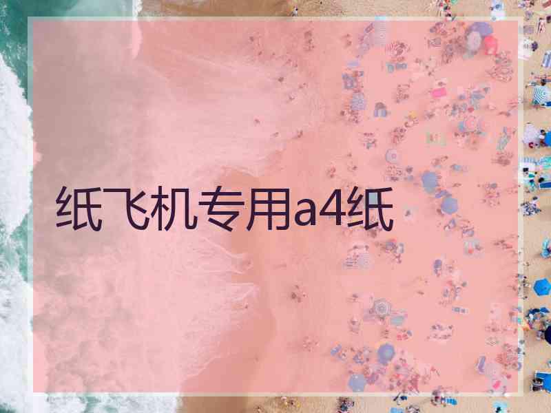 纸飞机专用a4纸