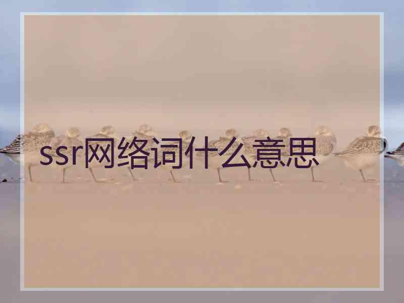 ssr网络词什么意思