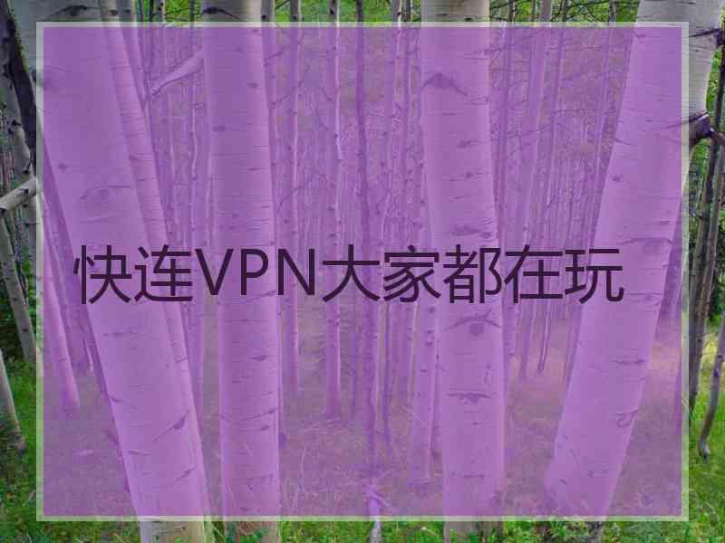 快连VPN大家都在玩