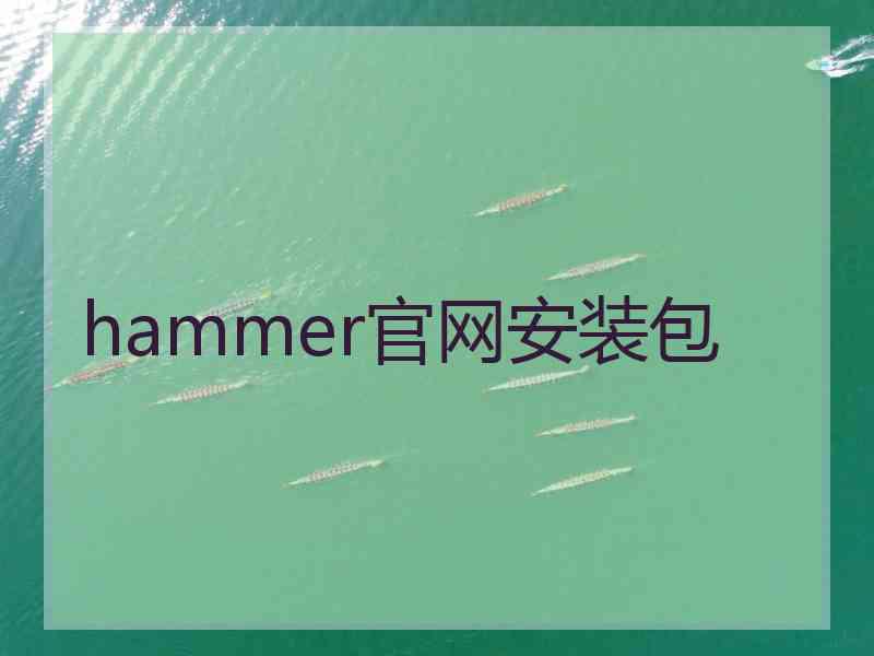 hammer官网安装包