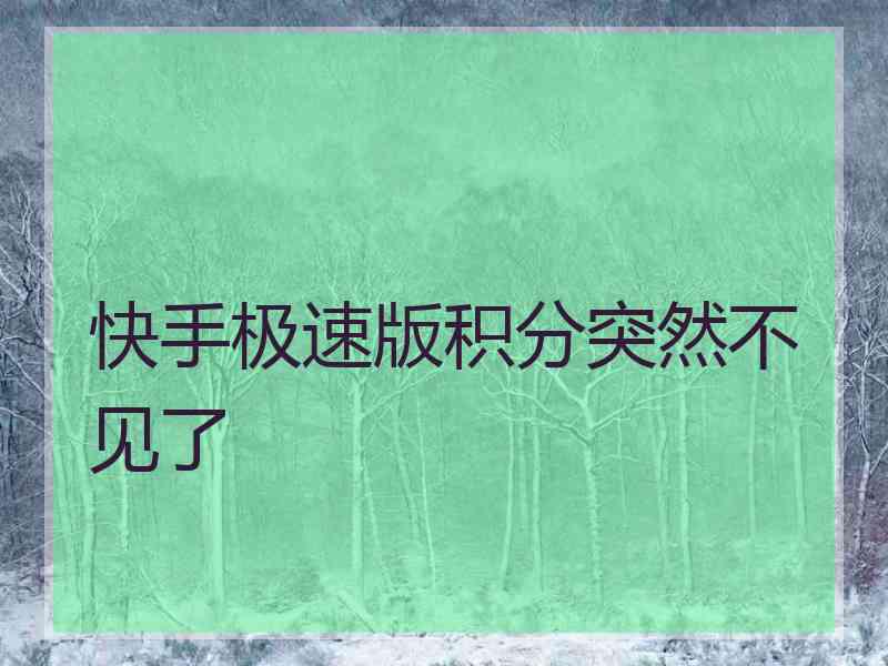 快手极速版积分突然不见了