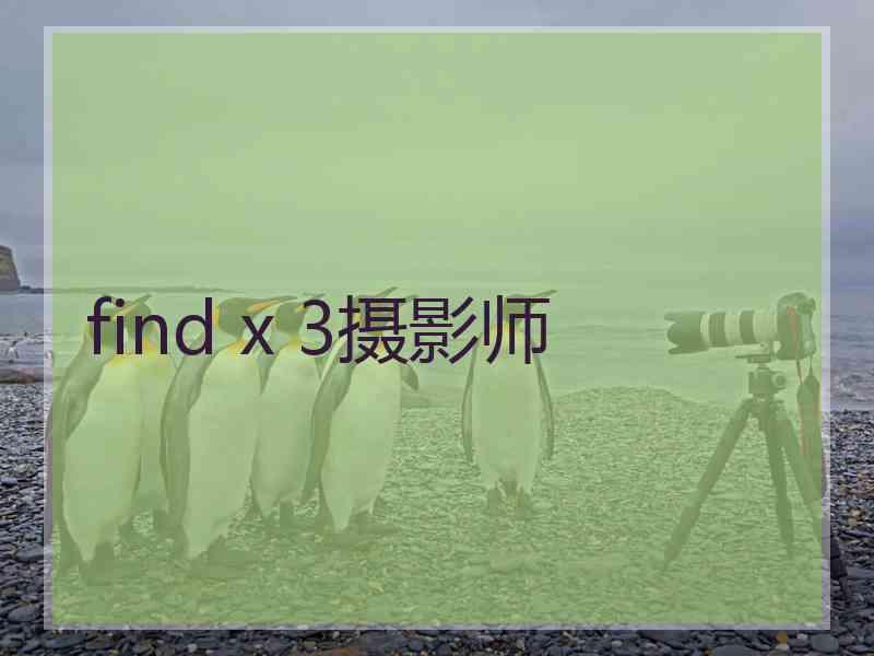 find x 3摄影师