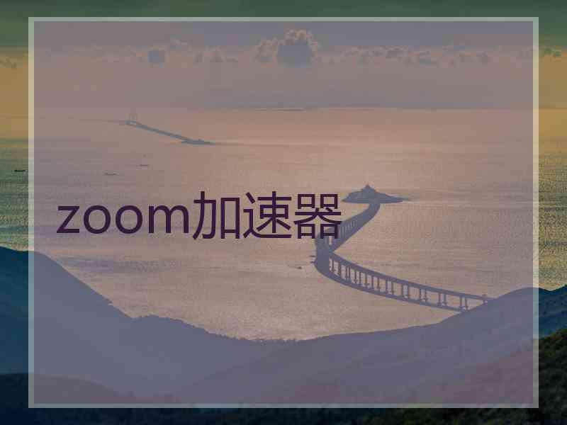 zoom加速器