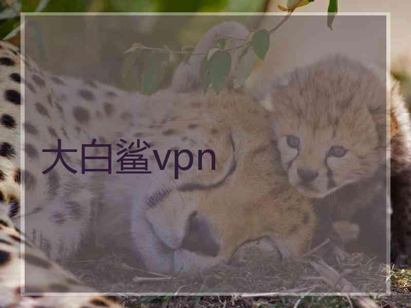 大白鲨vpn