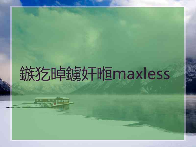 鏃犵晫鐪奸暅maxless