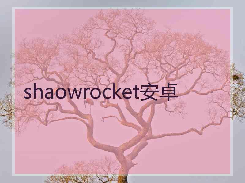 shaowrocket安卓