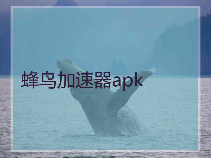 蜂鸟加速器apk