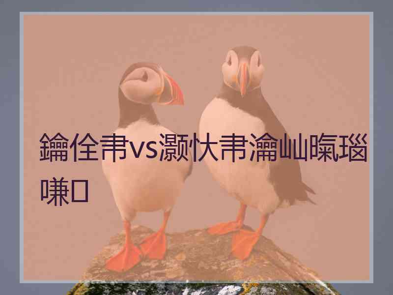 鑰佺帇vs灏忕帇瀹屾暣瑙嗛