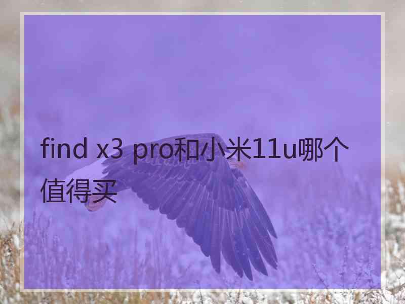 find x3 pro和小米11u哪个值得买