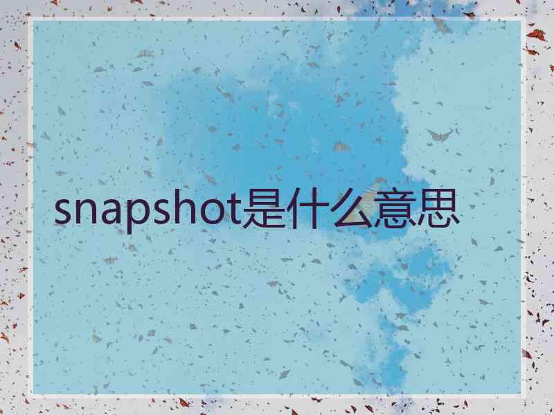 snapshot是什么意思