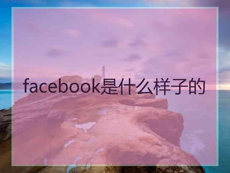 facebook是什么样子的