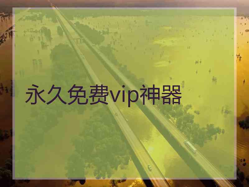 永久免费vip神器