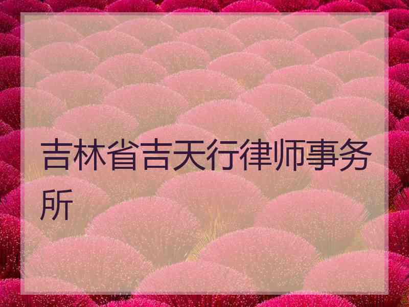 吉林省吉天行律师事务所