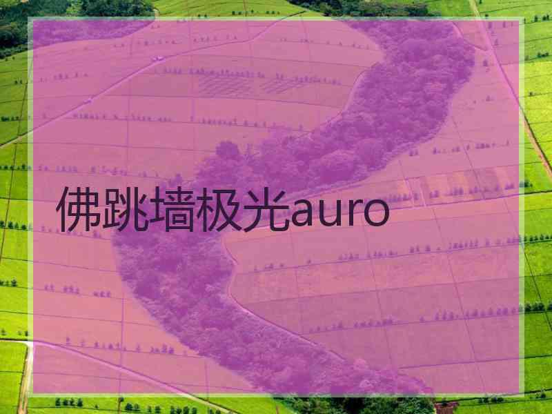 佛跳墙极光auro