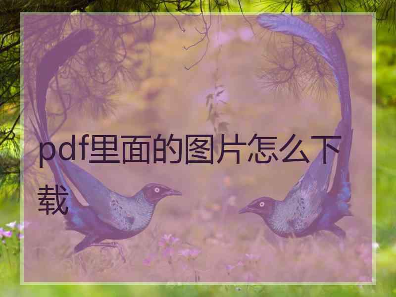 pdf里面的图片怎么下载