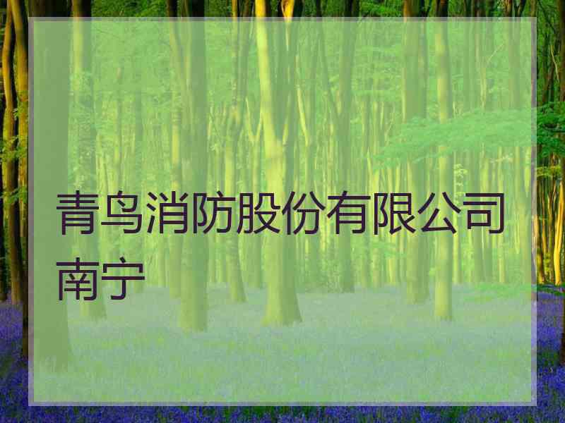 青鸟消防股份有限公司南宁