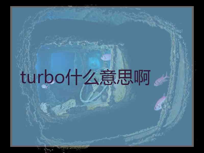 turbo什么意思啊