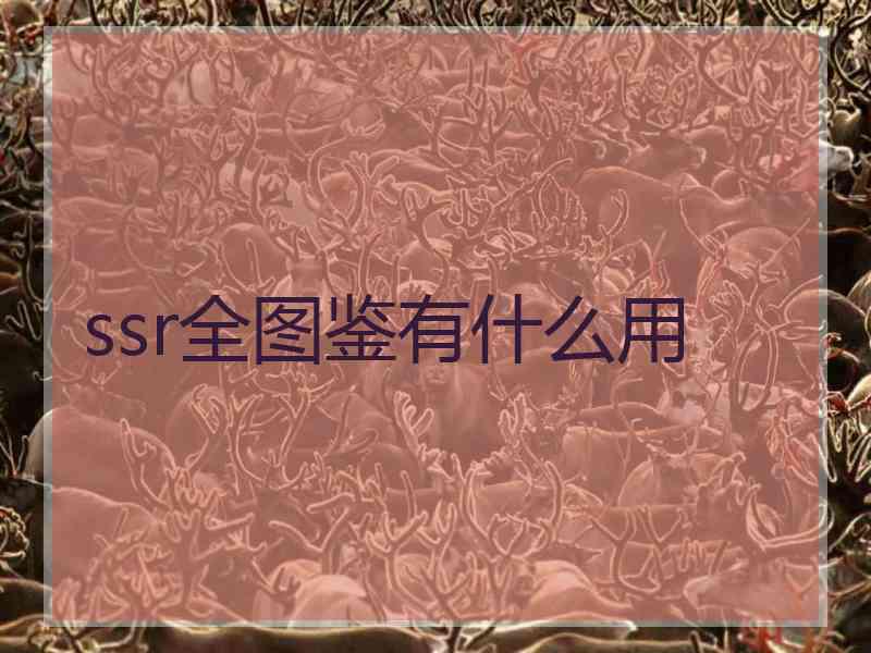 ssr全图鉴有什么用