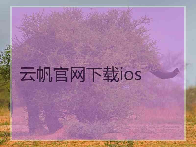 云帆官网下载ios