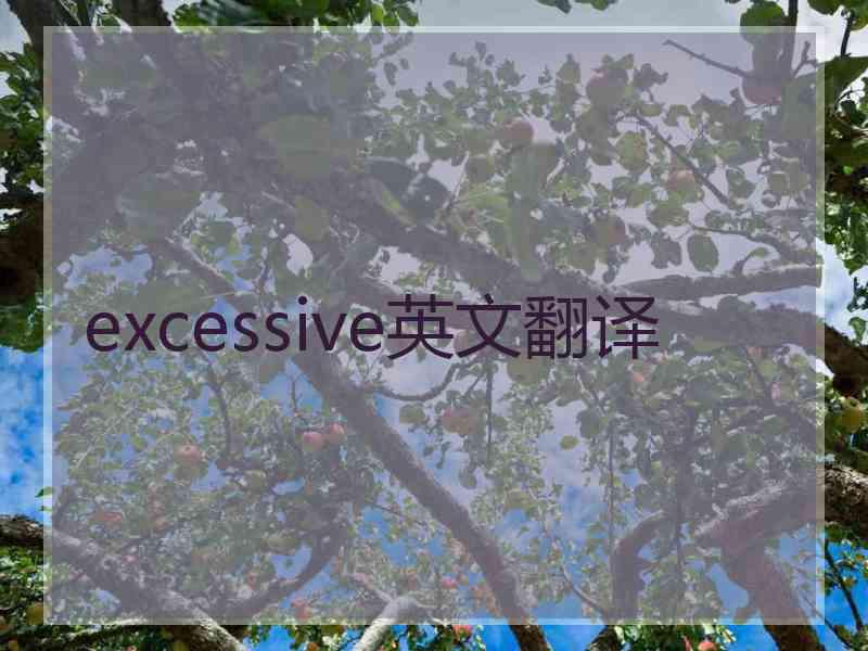 excessive英文翻译