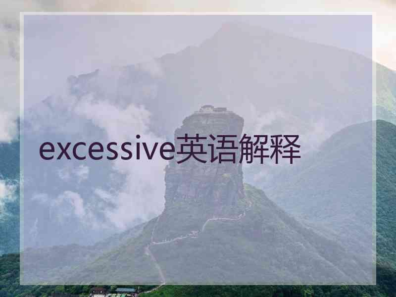 excessive英语解释