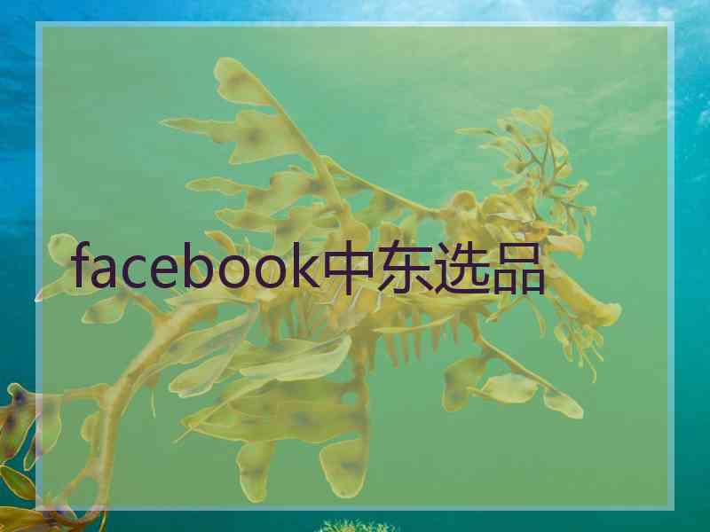 facebook中东选品