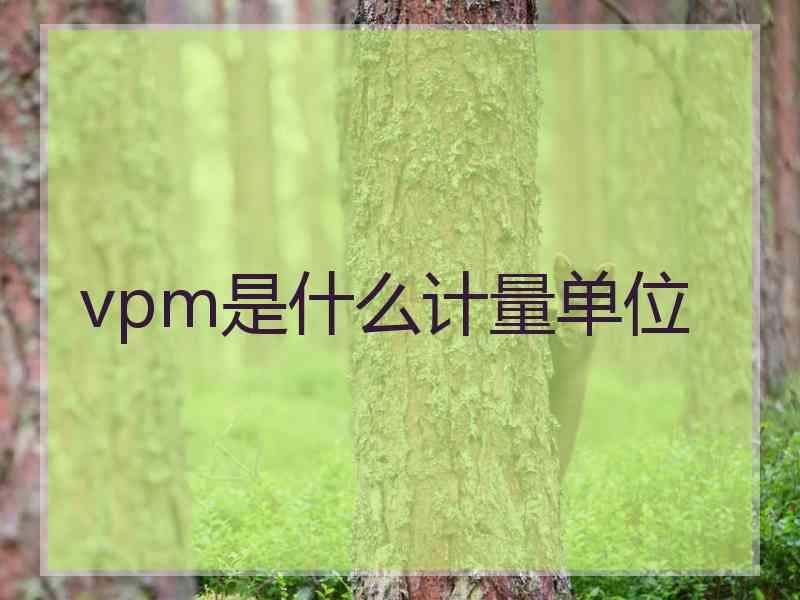 vpm是什么计量单位