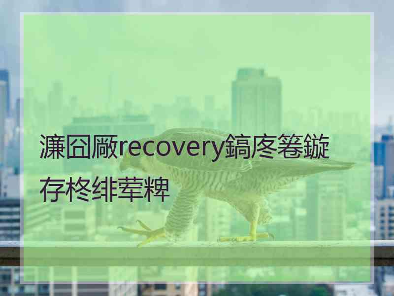 濂囧厰recovery鎬庝箞鏇存柊绯荤粺