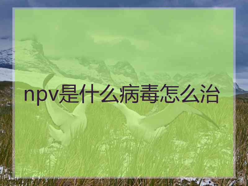 npv是什么病毒怎么治