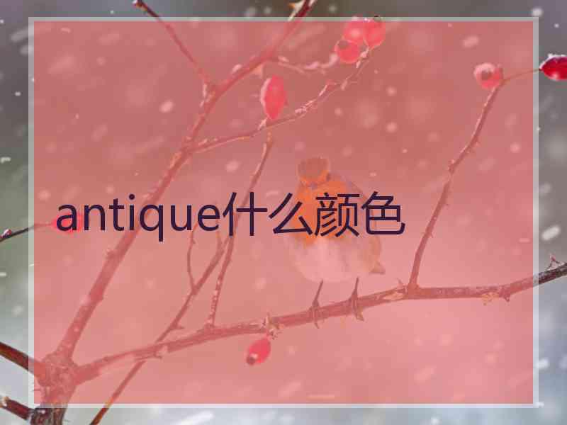 antique什么颜色