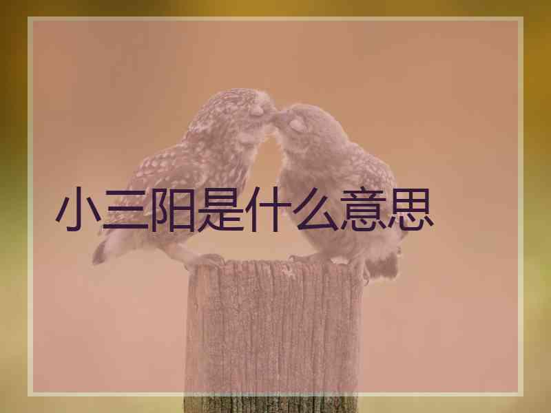 小三阳是什么意思