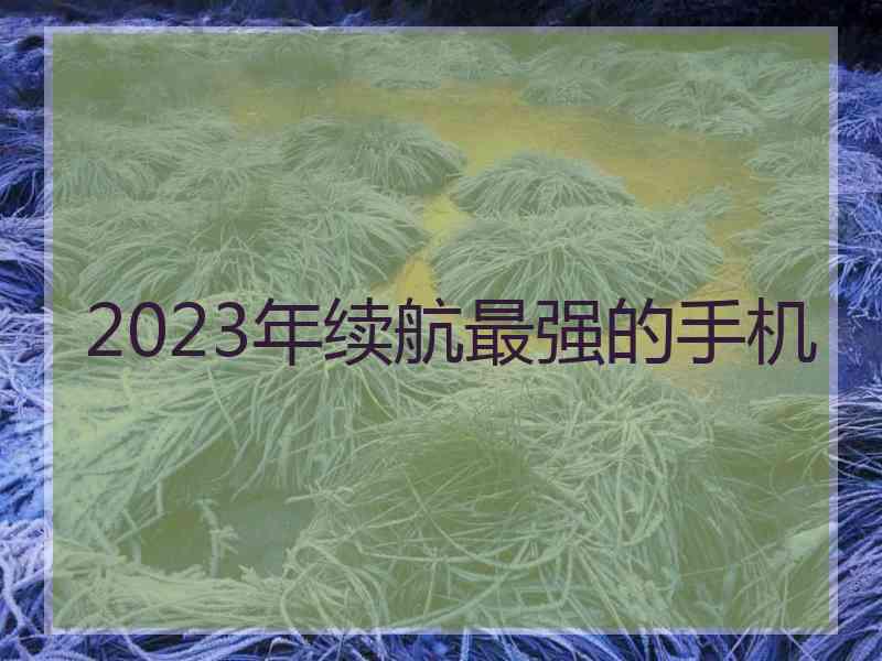 2023年续航最强的手机