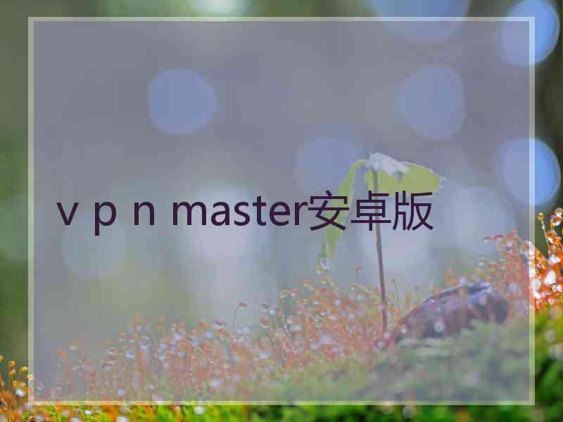 v p n master安卓版