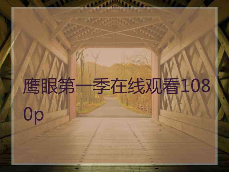 鹰眼第一季在线观看1080p