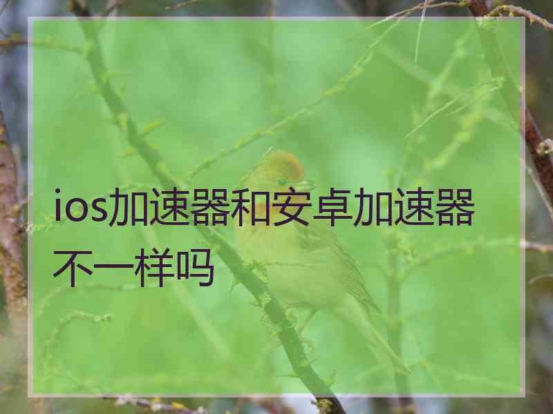 ios加速器和安卓加速器不一样吗