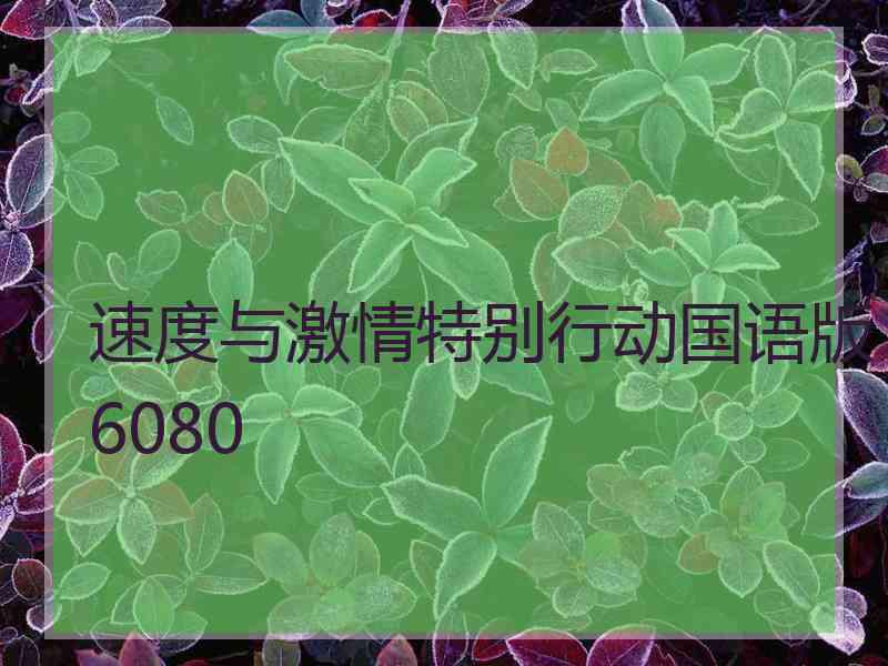 速度与激情特别行动国语版6080