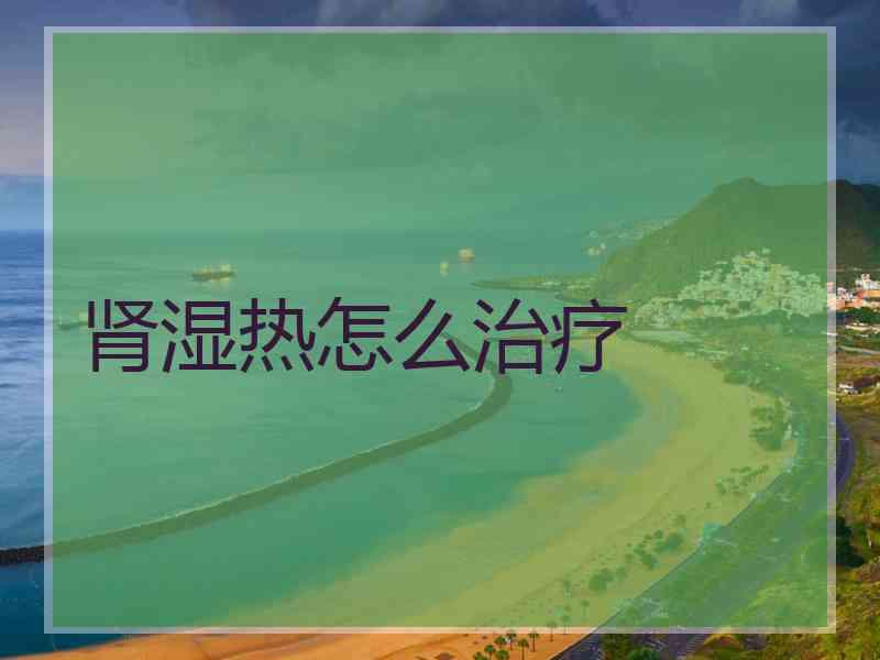 肾湿热怎么治疗