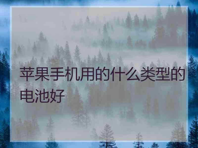 苹果手机用的什么类型的电池好