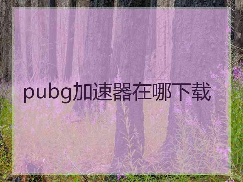 pubg加速器在哪下载